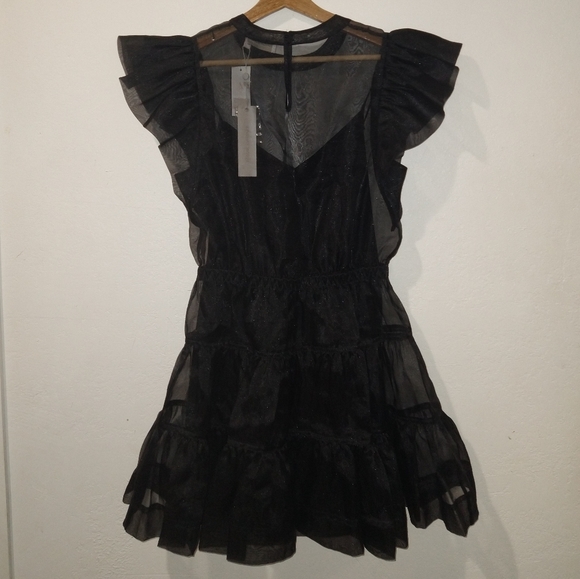 NWT JONATHAN SIMKHAI Monique Sheer Mini Dress - Picture 9 of 12